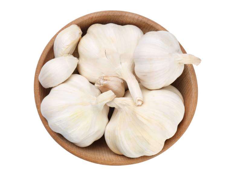 Garlic 