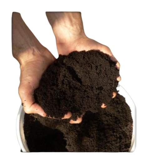 Organic Fertilizer