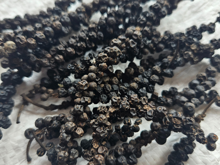 Black Pepper 