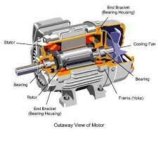 Electric Motors & Components