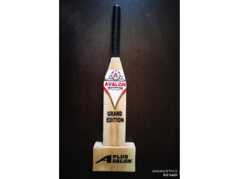 Wooden Miniature Cricket Bat