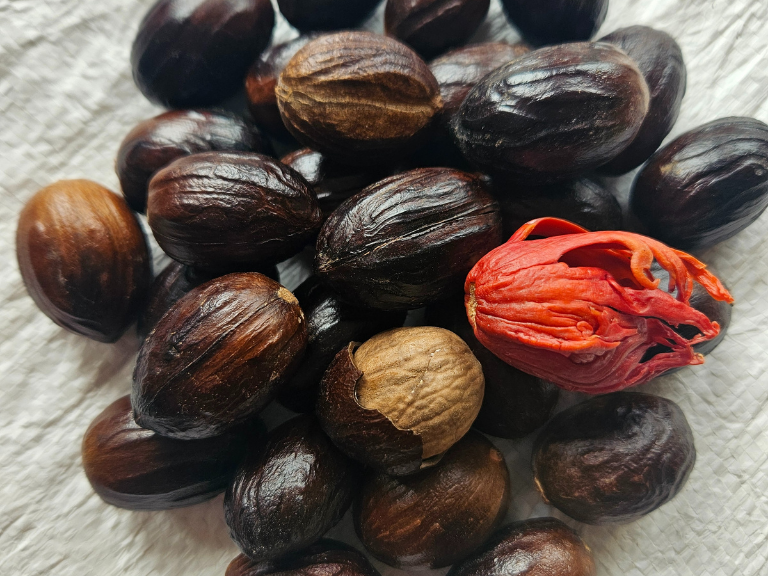 Nutmeg with shells 