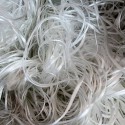 Fiberglass Products