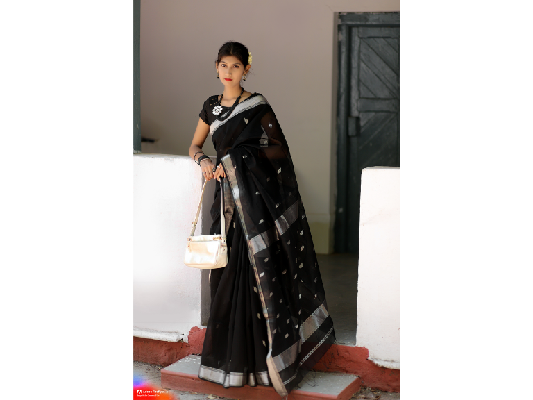 Banarasi Sarees BS-002