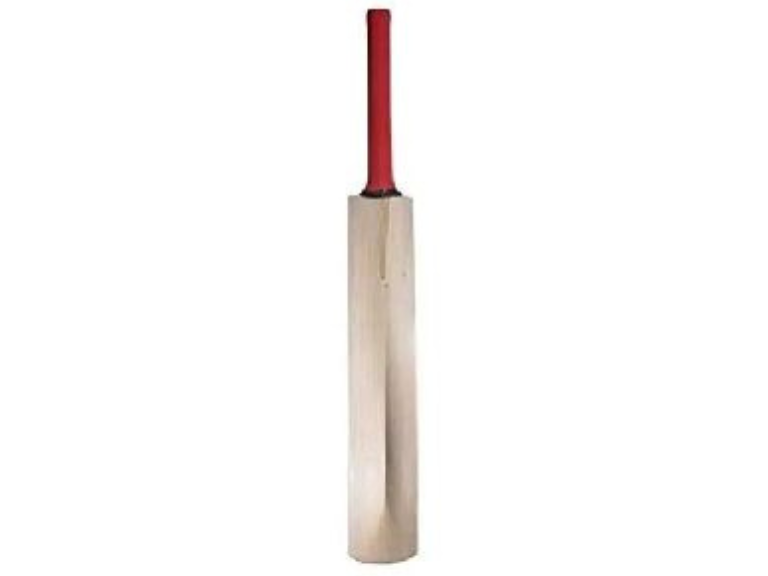 Long Handle Cricket Bat