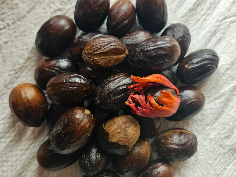 Nutmeg with shells 