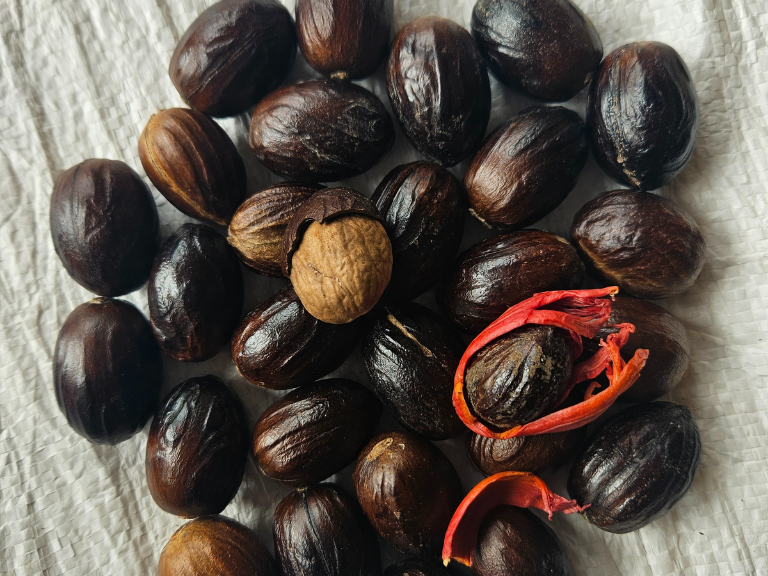 Nutmeg with shells 