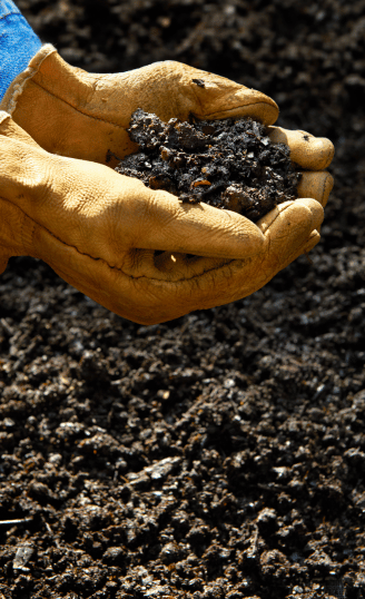 Soil Additives & Fertilizers