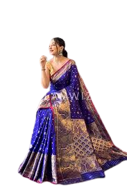 Banarasi Zari Work Sarees