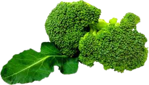 Fresh Broccoli