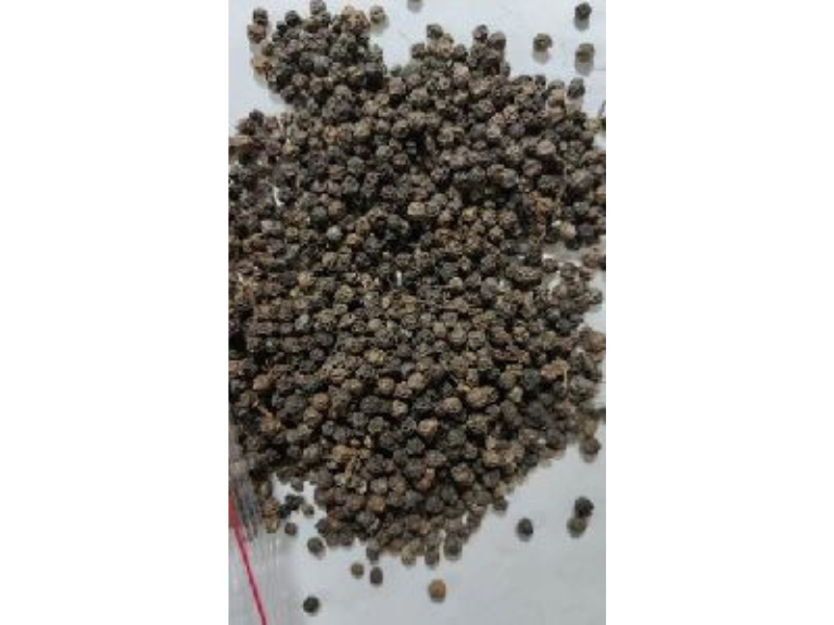 Black Pepper Seeds