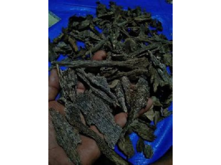 Underwater Agarwood Chips