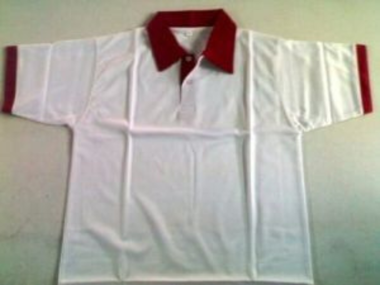 Mens Polo T-Shirts