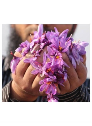 Kashmiri Saffron