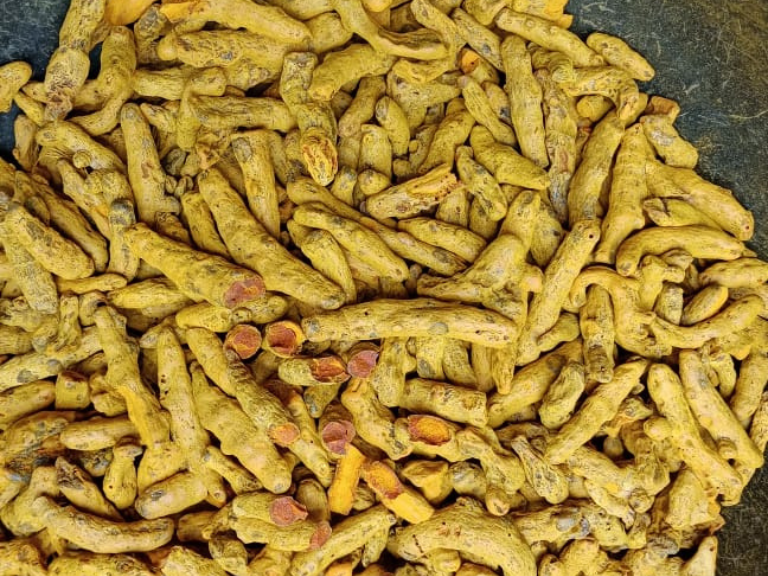 Raw Turmeric