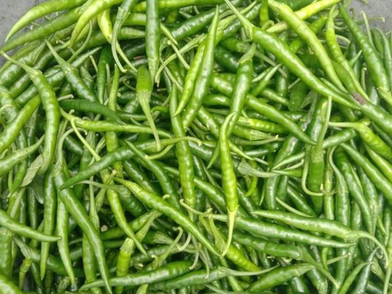 Green Chilli